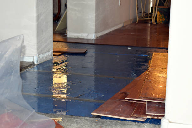 Professional Sewage Cleanup technician working in Pine City, MN